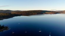 another 'busy day' on Quarantine Bay- waterside @ Free Spirit