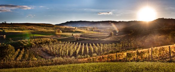 Langhe panorama in summer
