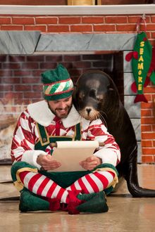 SeaWorld's Christmas Celebration