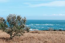 Alderney