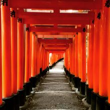 Popular Fushini Inari Torii Gate is one of many beautiful shrines in Kyoto