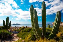 Mexico's Sea of Cortés