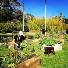 Tweed Artisan Food Weekend, Potager - a Kitchen Garden