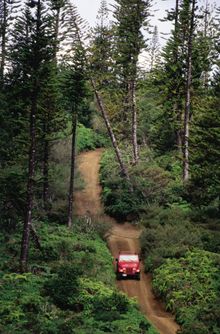 4WD on the Munroe Trail, Lanai