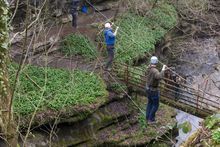 The Postman's Walk - one of three new aerial walkways on How Stean Gorge's via ferrata