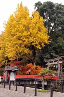 Izushi Castle town