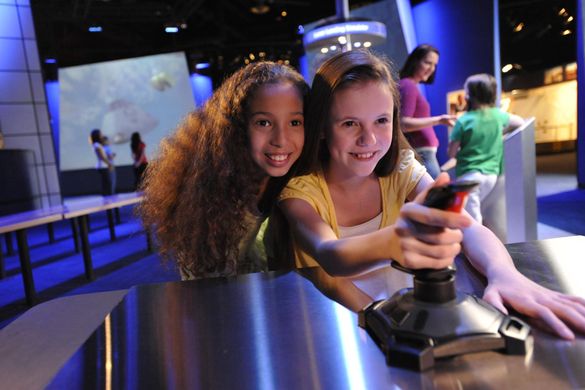 Explorers Wanted - Immerse yourself in an environment of discovery and exploration with interactive experiences and large scale 