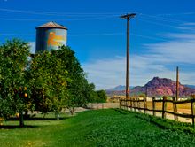 The Orange Patch citrus farm and produce stand in Mesa, Arizona.