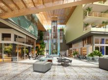 Bailey the artful one opens November 2