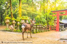 5 min walk from Kintetsu-Nara Station to Nara Park