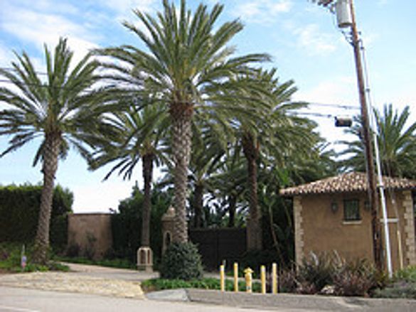 See celebrity homes, like Cher's Malibu Home, on the world-famous Starline Celebrity Homes Tour