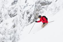 Whistler 