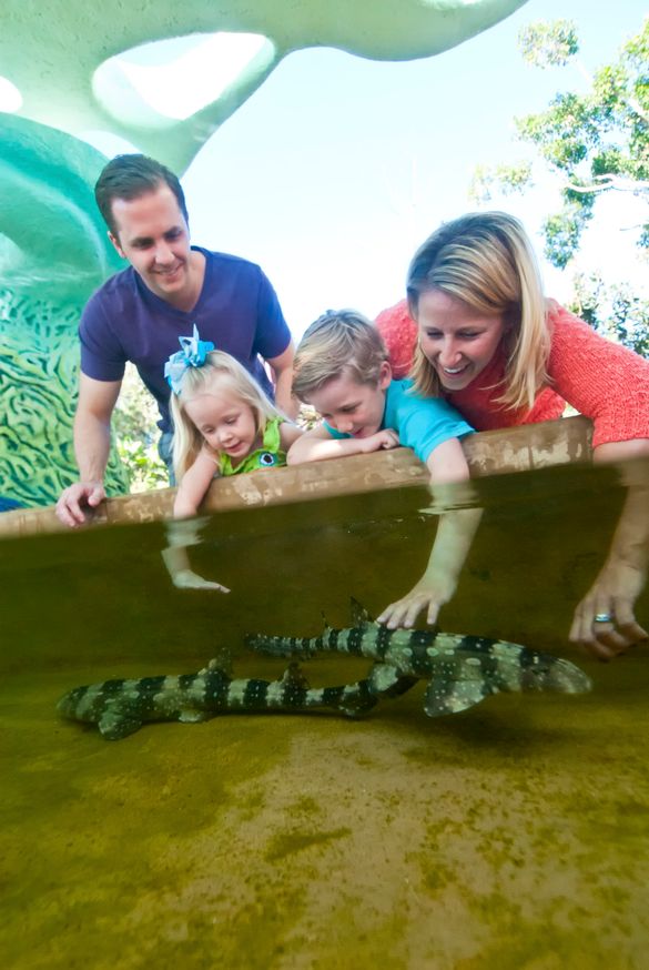 SeaWorld San Diego - Explorer's Reef