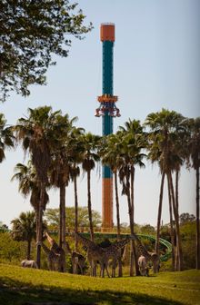 Busch Gardens Tampa - Falcon's Fury, opening May 2014