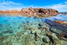 The Aquarium Cape to Cape Walk
