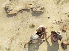 Auf der Spur der Dinosaurier