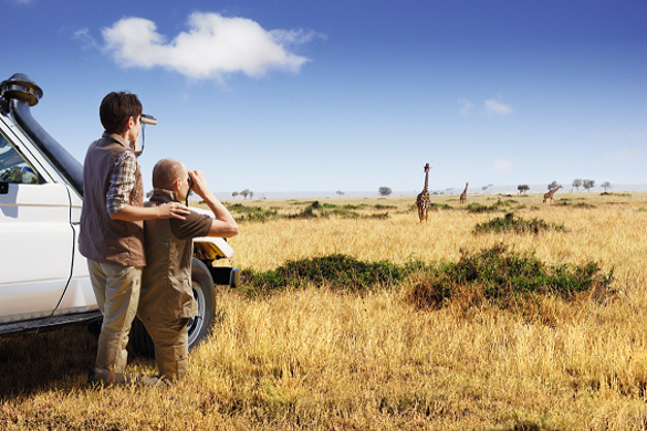 Wildlife watchers heading on a safari trip this season should be sure to pack a pair of binoculars from SWAROVSKI OPTIK.