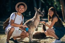 Japanese Visitors With Kangaroo