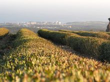 Jeju, South Korea