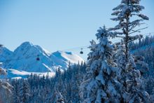 Whistler resort