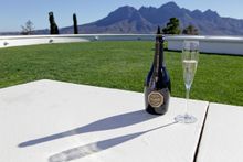 Cape Town, wine tasting