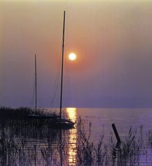 Lake Neusiedl
