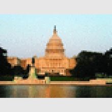 The Capital