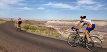 Bicyclists at Petrified Forest