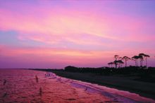 Dauphin Island