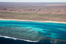 Ningaloo Reef coastline