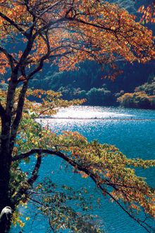 Lake Okutama