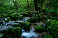 Okutama Rock Garden