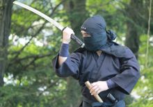 Akiruno Ninja(voyagin) 
