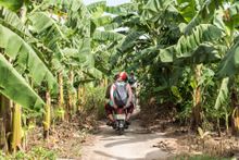 Vietnam & Cambodia
