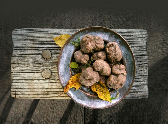 Sands Resorts Macao and Sands Macao are offering a white truffle promotion from now while stocks last, offering guests a wide range of superb dishes at eight signature restaurants.