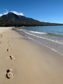 Freycinet Walking Tour - footsteps