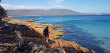 Freycinet Walking Tour - looking towards Hazards Mountains
