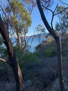 Freycinet Walking Tour
