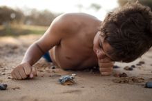 8_Turtle experience at Mon Repos