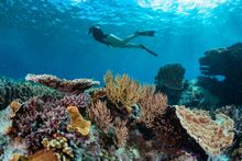 13_Wilson Island