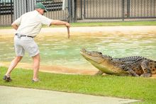 15_Australia Zoo's Toby Millyard with Graham the croc_taken 2015_resized