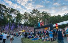20 - Woodford Folk Festival