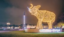 Glanzlichter / Elefant