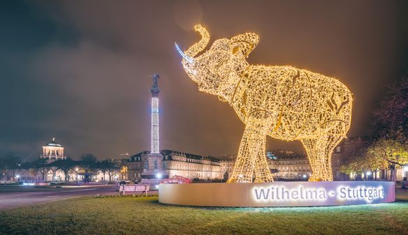 Glanzlichter / Elefant