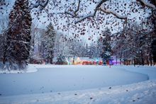 Winterfest 