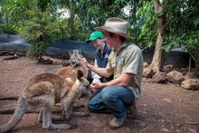 Cooberrie Park Wildlife Sanctuary