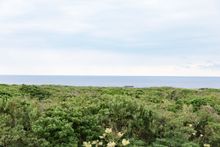 Hachijo-jima Island