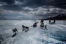Lake Khuvsgul Dog Sled Adventure