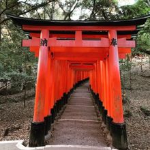 The Fushimi Inari Shrine consists of 10,000 torii gates.