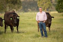 David Blackmore, Owner & Founder, Australian Blackmore Wagyu